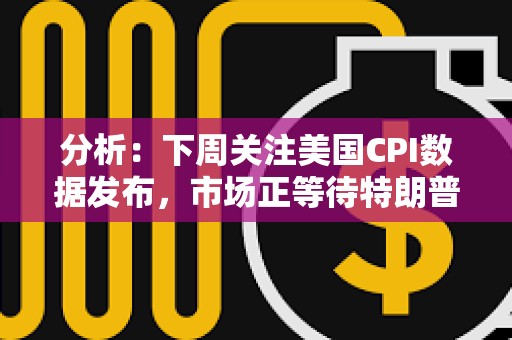 分析:下周關注美國CPI數據發布,市場正等待特朗普上任的各種承諾兌現 分析:下周關注美國CPI數據發布,市場正等待特朗普上任的各種承諾兌現