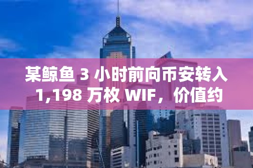 某鯨魚 3 小時前向幣安轉入 1,198 萬枚 WIF，價值約 1,750 萬美元