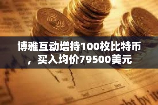 博雅互動增持100枚比特幣，買入均價79500美元