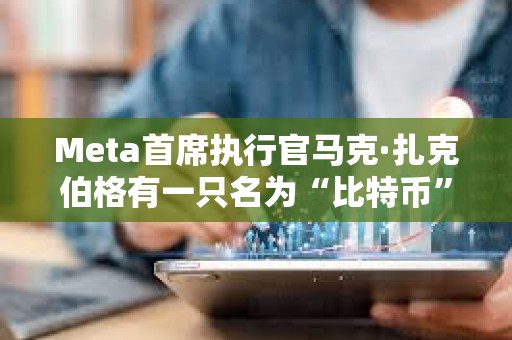 Meta首席執(zhí)行官馬克·扎克伯格有一只名為“比特幣”的寵物山羊