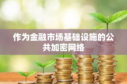 作為金融市場基礎(chǔ)設(shè)施的公共加密網(wǎng)絡(luò)