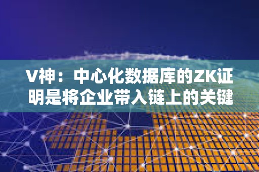 V神：中心化數據庫的ZK證明是將企業帶入鏈上的關鍵