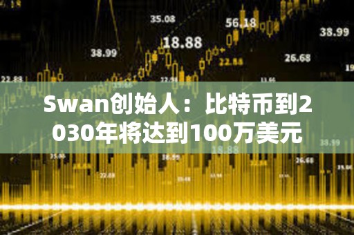 Swan創始人：比特幣到2030年將達到100萬美元