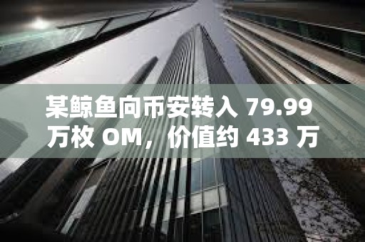某鯨魚向幣安轉入 79.99 萬枚 OM，價值約 433 萬美元