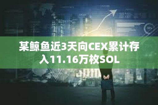 某鯨魚近3天向CEX累計存入11.16萬枚SOL