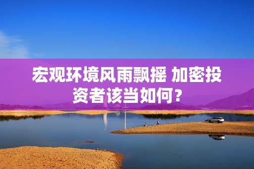 宏觀環境風雨飄搖 加密投資者該當如何？