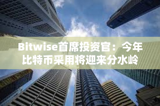 Bitwise首席投資官：今年比特幣采用將迎來分水嶺
