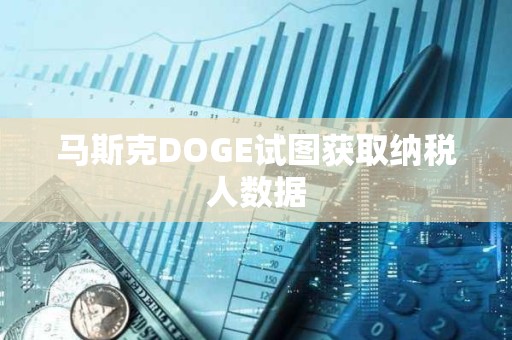 馬斯克DOGE試圖獲取納稅人數據