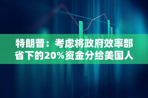 特朗普：考慮將政府效率部省下的20%資金分給美國人
