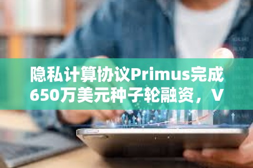 隱私計算協議Primus完成650萬美元種子輪融資，VanEck等機構領投