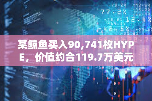 某鯨魚買入90,741枚HYPE，價值約合119.7萬美元