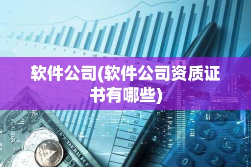 軟件公司(軟件公司資質證書有哪些)