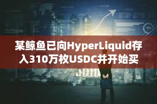 某鯨魚已向HyperLiquid存入310萬枚USDC并開始買入HYPE