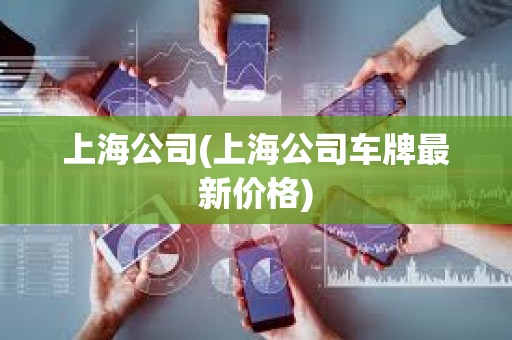 上海公司(上海公司車牌最新價格) 上海公司(上海公司車牌最新價格)