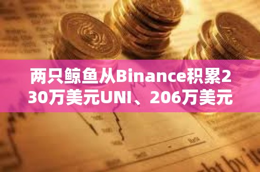 兩只鯨魚從Binance積累230萬美元UNI、206萬美元MKR和1390萬美元AUCTION