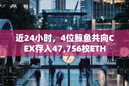近24小時,4位鯨魚共向CEX存入47,756枚ETH 近24小時,4位鯨魚共向CEX存入47,756枚ETH