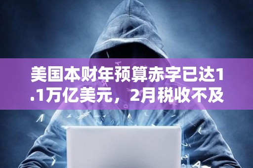 美國本財年預算赤字已達1.1萬億美元，2月稅收不及支出一半