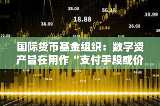 國際貨幣基金組織：數字資產旨在用作“支付手段或價值儲存手段”