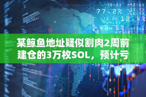 某鯨魚地址疑似割肉2周前建倉的3萬枚SOL，預計虧損45.6萬美元