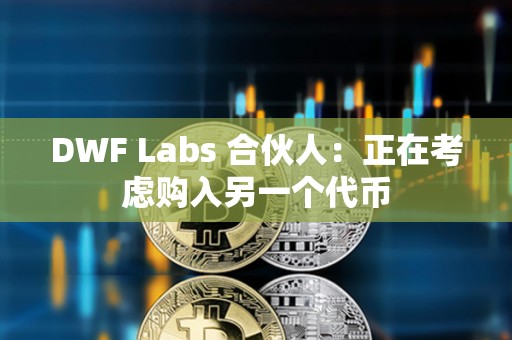 DWF Labs 合伙人：正在考慮購入另一個代幣