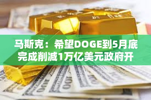 馬斯克：希望DOGE到5月底完成削減1萬億美元政府開支的任務