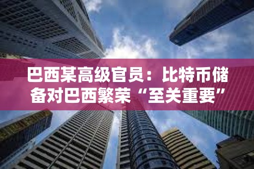 巴西某高級(jí)官員：比特幣儲(chǔ)備對巴西繁榮“至關(guān)重要”