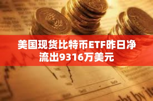美國(guó)現(xiàn)貨比特幣ETF昨日凈流出9316萬(wàn)美元