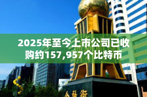 2025年至今上市公司已收購(gòu)約157,957個(gè)比特幣
