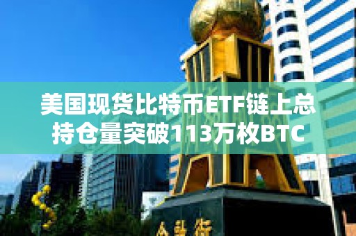 美國現(xiàn)貨比特幣ETF鏈上總持倉量突破113萬枚BTC