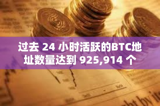 過去 24 小時活躍的BTC地址數量達到 925,914 個