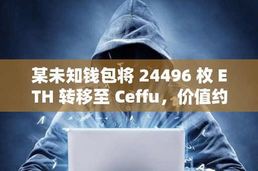 某未知錢包將 24496 枚 ETH 轉移至 Ceffu，價值約 6382 萬美元