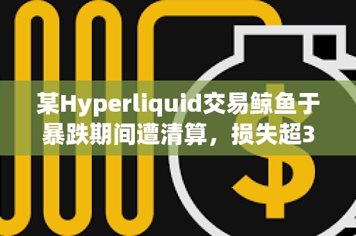某Hyperliquid交易鯨魚于暴跌期間遭清算，損失超350萬美元