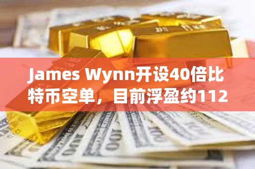 James Wynn開設40倍比特幣空單，目前浮盈約1124美元