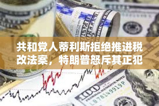 共和黨人蒂利斯拒絕推進稅改法案，特朗普怒斥其正犯下大錯