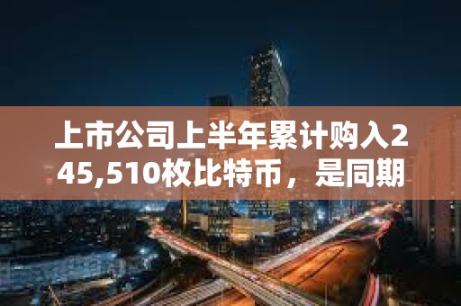 上市公司上半年累計購入245,510枚比特幣，是同期ETF購入量的兩倍多