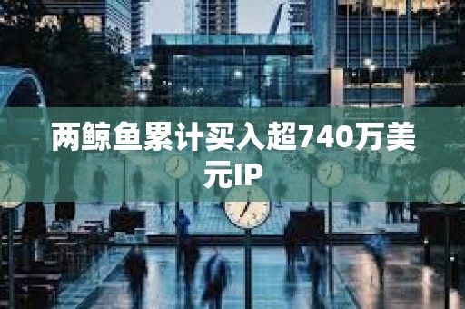 兩鯨魚累計買入超740萬美元IP
