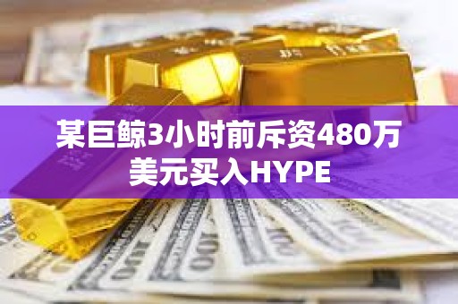 某巨鯨3小時前斥資480萬美元買入HYPE