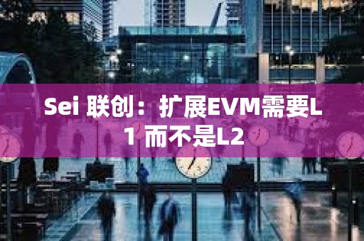 Sei 聯創：擴展EVM需要L1 而不是L2