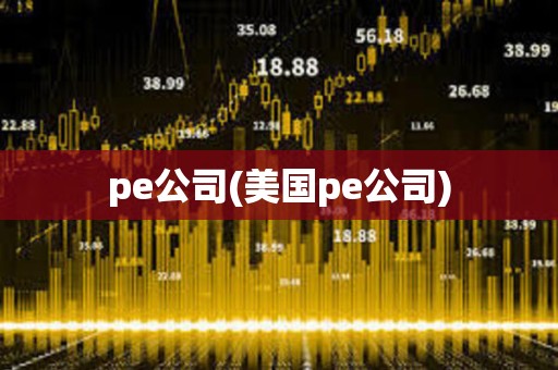 pe公司(美國pe公司)