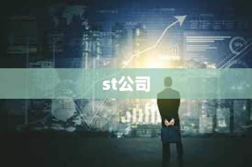 st公司 st公司