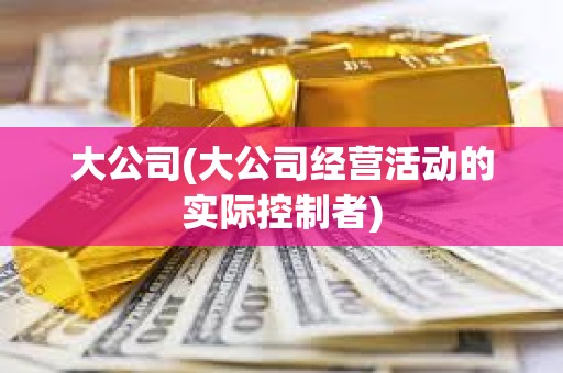 大公司(大公司經營活動的實際控制者) 大公司(大公司經營活動的實際控制者)