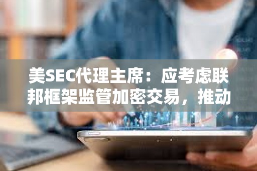 美SEC代理主席：應考慮聯邦框架監管加密交易，推動區塊鏈創新