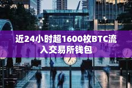 近24小時超1600枚BTC流入交易所錢包