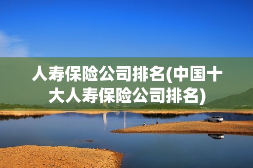 人壽保險公司排名(中國十大人壽保險公司排名)