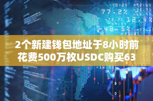 2個新建錢包地址于8小時前花費500萬枚USDC購買630,339枚TRUMP