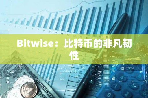 Bitwise：比特幣的非凡韌性