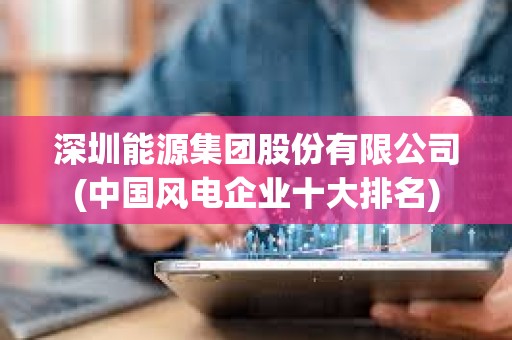 深圳能源集團股份有限公司(中國風電企業十大排名)