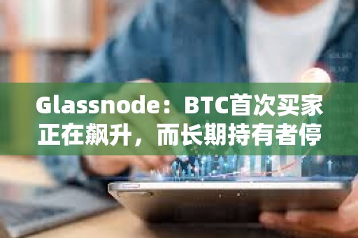 Glassnode：BTC首次買家正在飆升，而長期持有者停止加倉