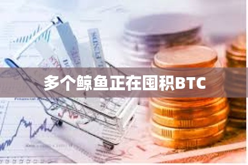 多個鯨魚正在囤積BTC