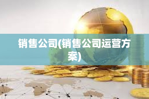 銷售公司(銷售公司運營方案)